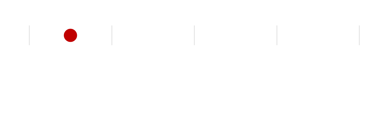 Example scale, from 1 to 5, with 'Standardized' being 1 and 'Customized' being 5.