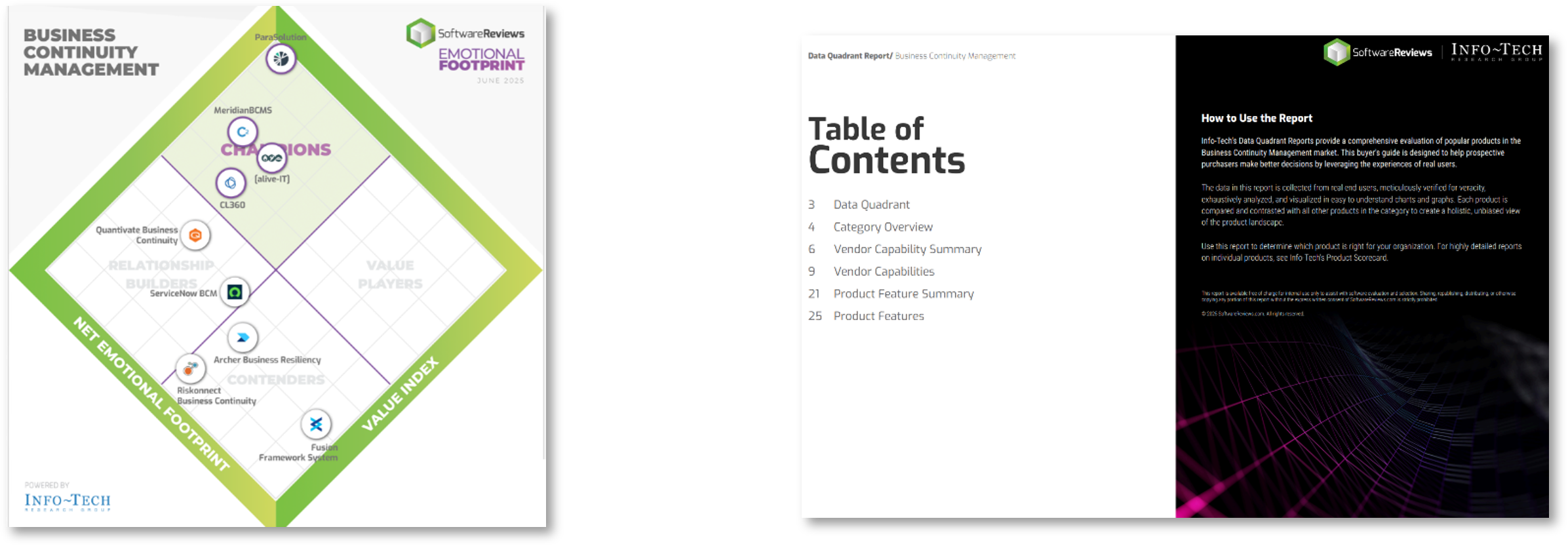 Sample of SoftwareReviews' The Emotional Footprint report.
