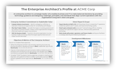 Enterprise Architect Role Profile.