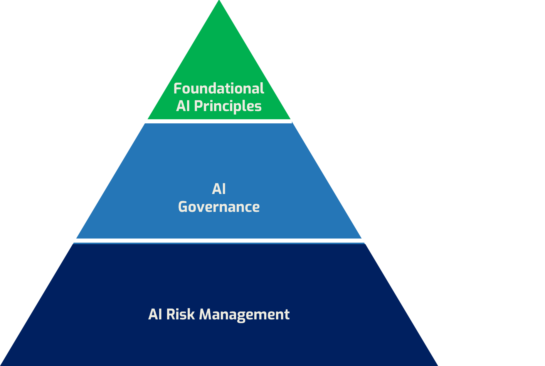 AI governance program.