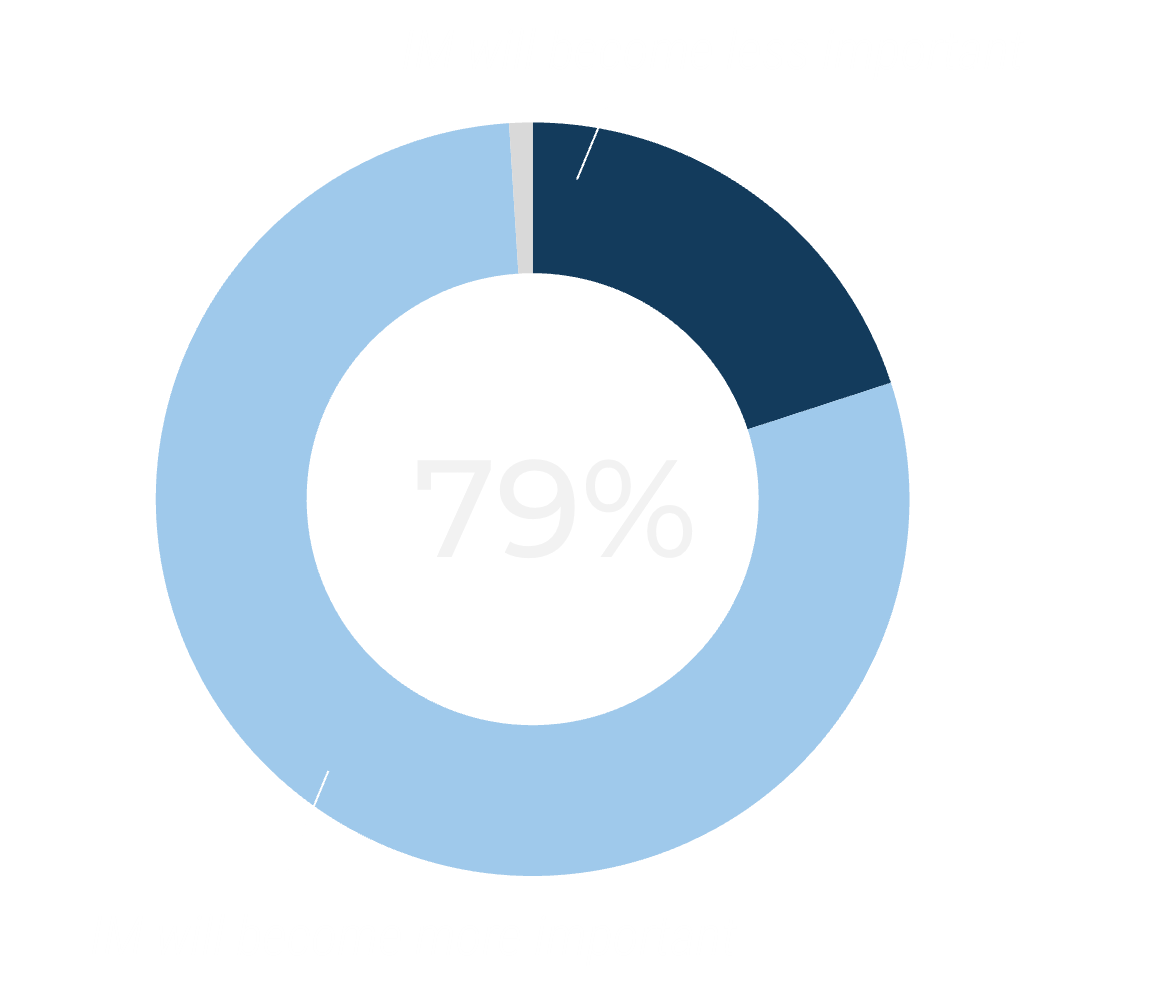 Pie graph with '79%' in the middle. The biggest portion of the chart says 'IM will become more important', the second biggest portion says 'IM will become less important', and there is a tiny unmarked sliver.