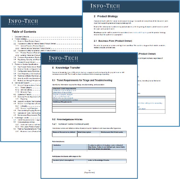 Sample of the Project Transition Template.