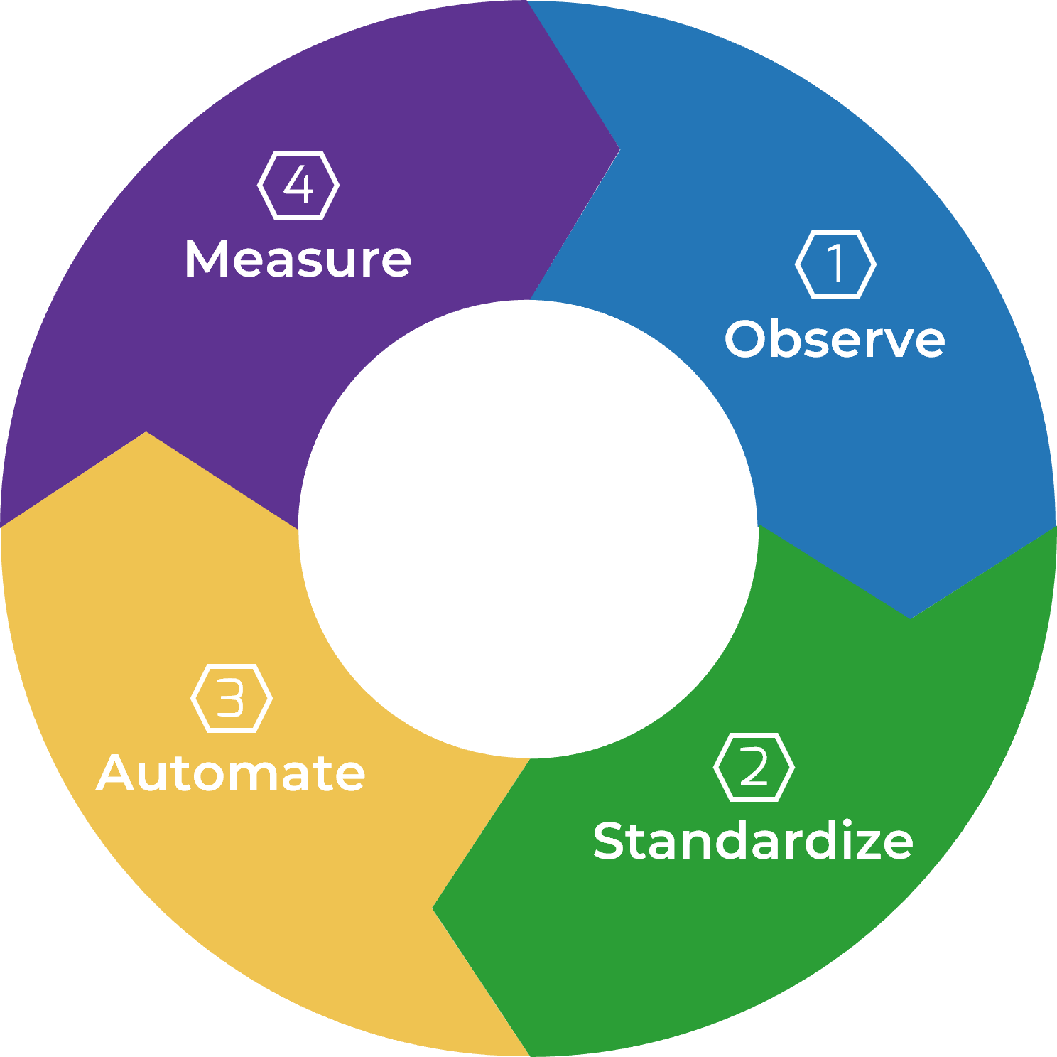 The CLM Program Lifecycle with four parts, '1 Observe', '2 Standardize', '3 Automate', and '4 Measure'.