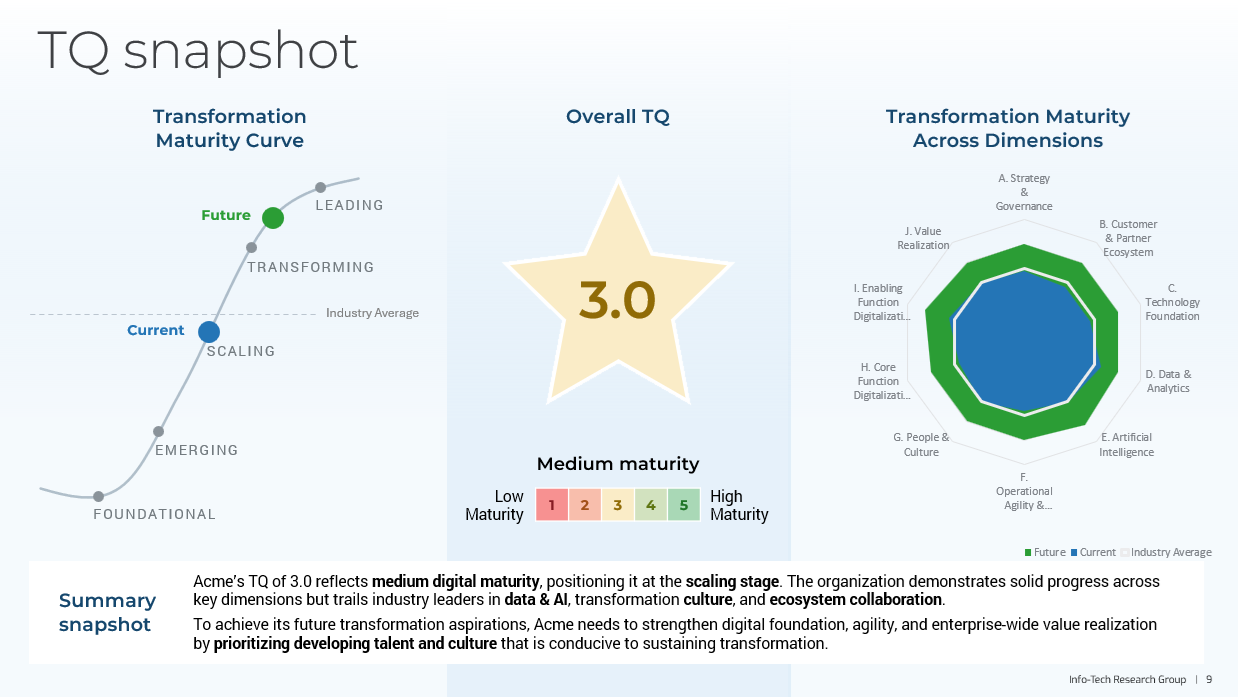 Transformation Quotient Assessment Sample Report
