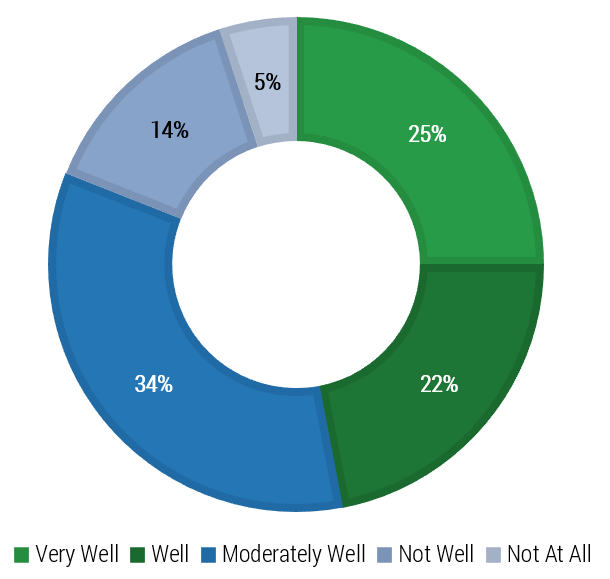 Business Analysis Maturity Pie-Graph.