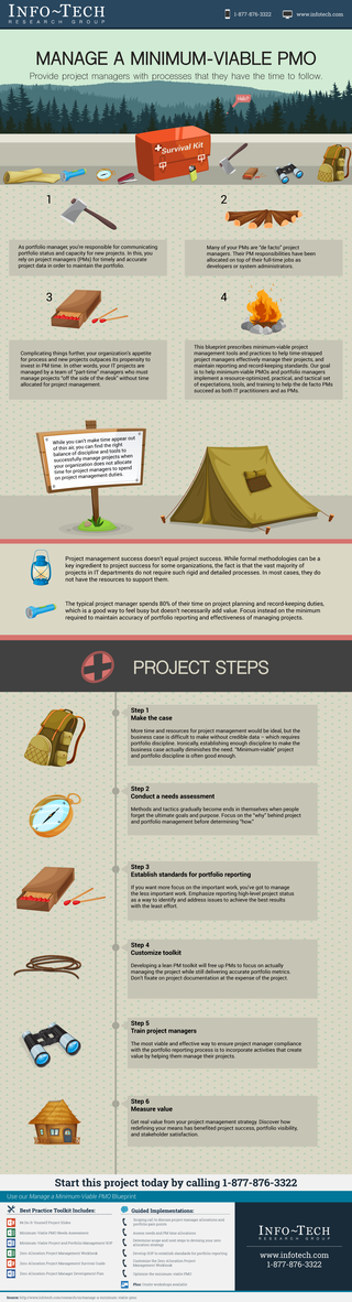 IT Project Management Lite thumbnail