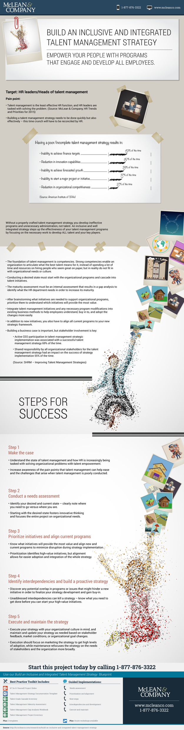 Build an Inclusive and Integrated Talent Management Strategy visualization