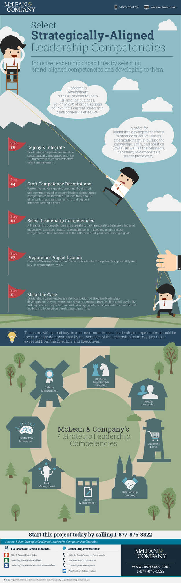 Select Strategically-Aligned Leadership Competencies visualization