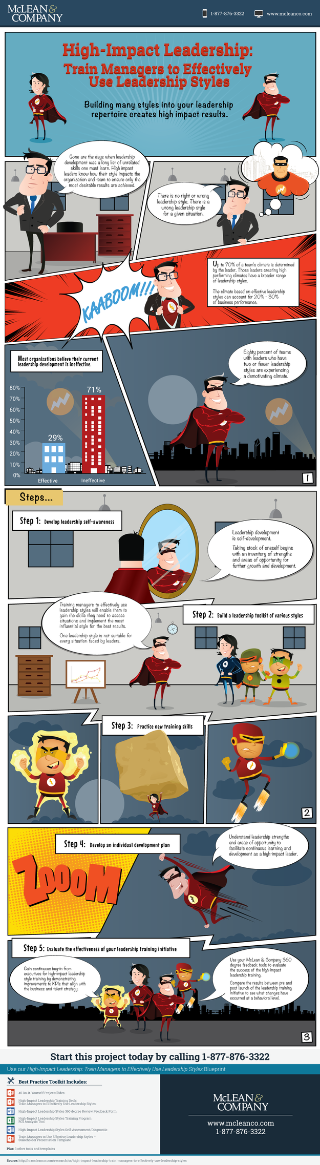 High-Impact Leadership: Train Managers to Effectively Use Leadership Styles visualization