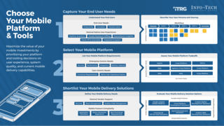 Choose Your Mobile Platform and Tools visualization