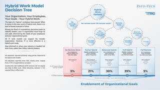State of Hybrid Work in IT visualization
