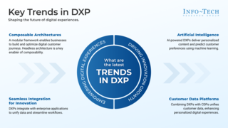 Digital Experience Platform Selection Guide visualization