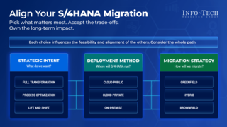 Build Your S/4HANA Migration Plan visualization