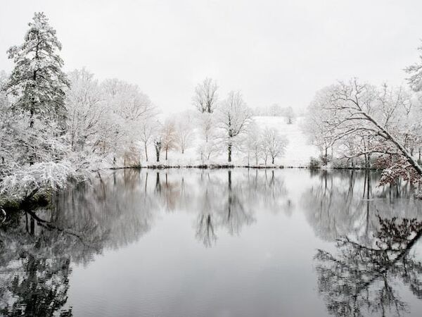 thumbnail for Digital Workplace in 2022: Reflections on Our Evolving Workplaces