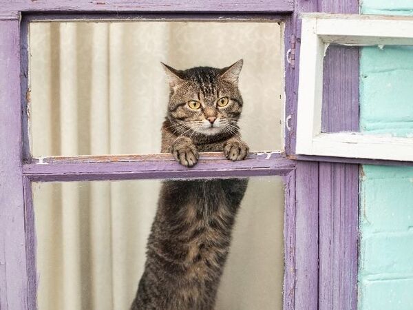 thumbnail for What Your Brand Needs to Know About FoMO Marketing