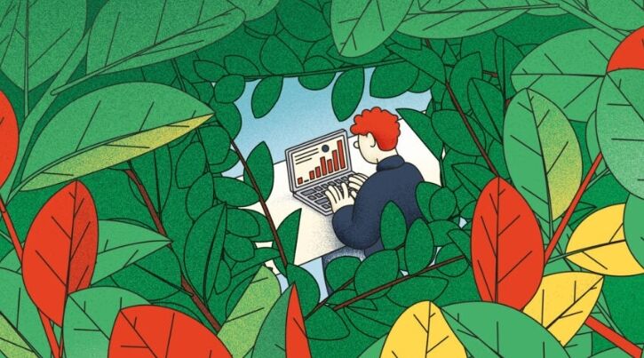 thumbnail for How can HR navigate the social media jungle?