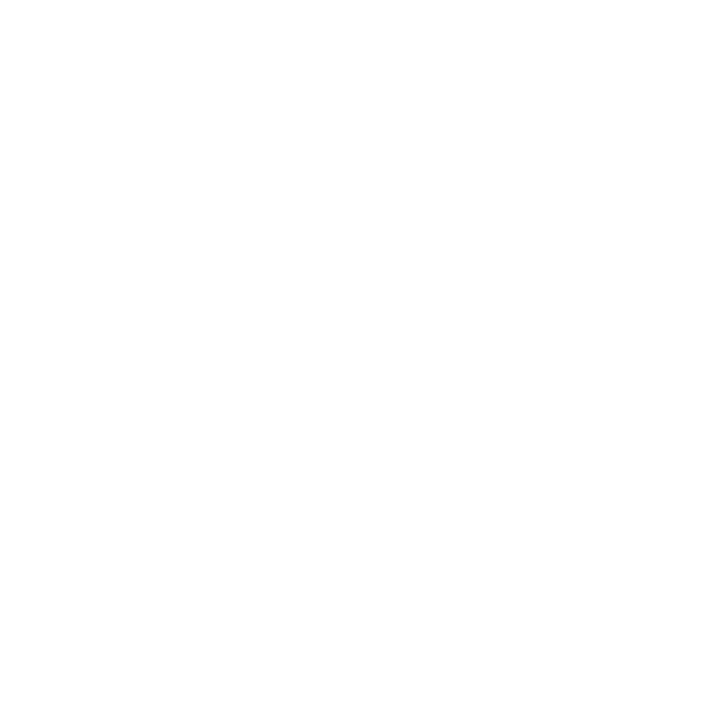 ECH Inc. Logo