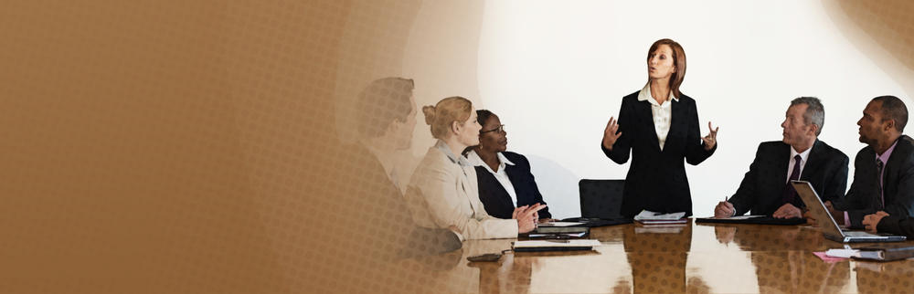 Decide Whether BI is Right for the Organization preview picture