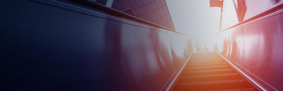Maintain an Organized Portfolio preview picture