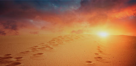 Thought model representing Make Prudent Decisions When Increasing Your Salesforce Footprint