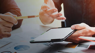 Audit the Project Portfolio preview picture