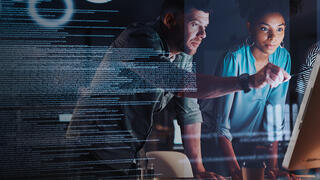 Governance and Management of Enterprise Software Implementation preview picture