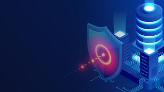 Achieve Digital Resilience by Managing Digital Risk preview picture