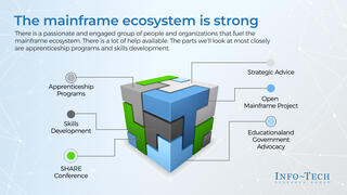 Skills Development on the Mainframe Platform preview picture