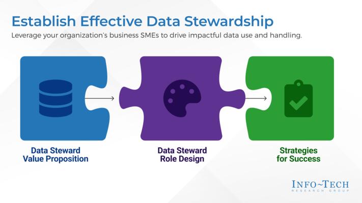 Establish Effective Data Stewardship visualization