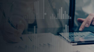 Select and Implement an IT PPM Solution preview picture