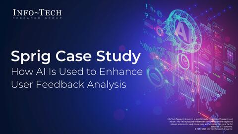 Thought model representing Sprig Case Study: AI for User Feedback Analysis