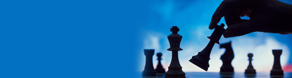 Develop a Web Content Management Strategy preview picture