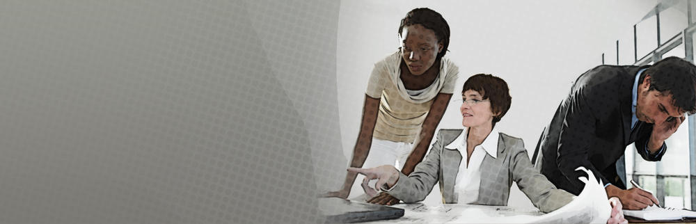 Develop a BI Strategy preview picture